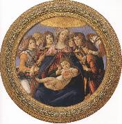 Sandro Botticelli Madonna and Child with six Angels or Madonna of the Pomegranate (mk36) oil painting artist